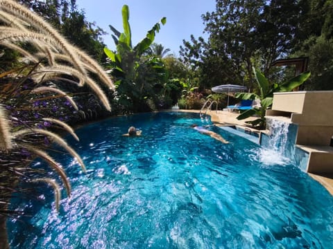 Garden, Garden view, Pool view, Swimming pool, Swimming pool
