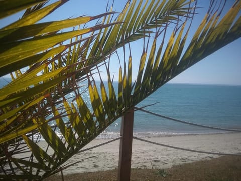 Vista de La Luna 4 rooms House in Halkidiki