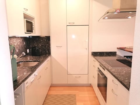 Fleur des alpes, Les Edelweiss Apartment in Fribourg, Switzerland