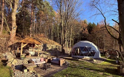 Natural landscape, BBQ facilities, Garden, Garden, Garden view