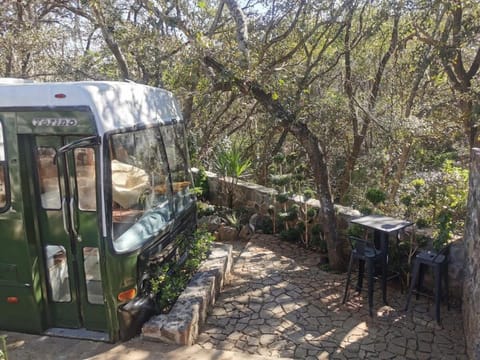 Bus Torino - a dream House in Hidalgo, Mexico