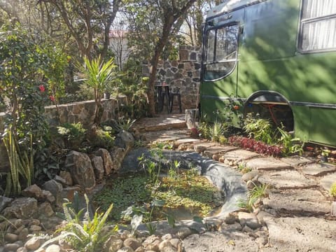 Bus Torino - a dream House in Hidalgo, Mexico