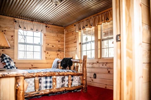 Hocking Hills Cabin, Hot Tub, Private Pond Cabin in Ohio