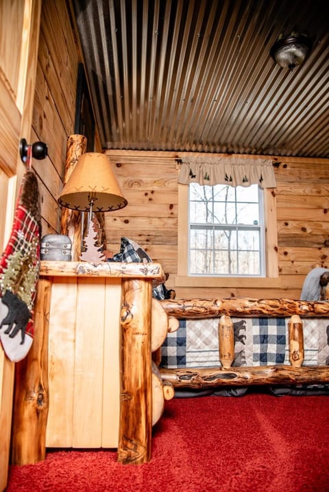 Hocking Hills Cabin, Hot Tub, Private Pond Cabin in Ohio