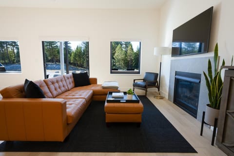 View (from property/room), Living room, fireplace