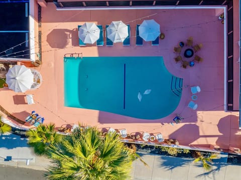 Swimming pool, Swimming pool