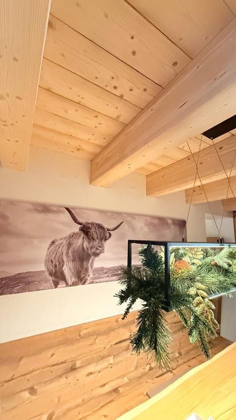 Maso K - Il Gufo Dorato Apartment in Trentino-South Tyrol