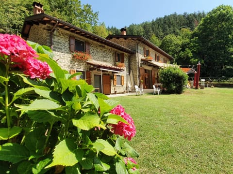 Property building, Spring, Day, Natural landscape, Garden, Garden view