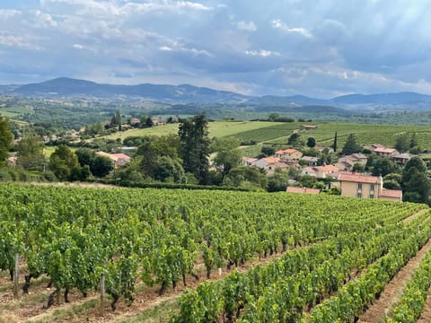 Nearby landmark, Natural landscape