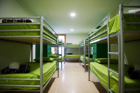 Bed, Photo of the whole room, Bedroom, bunk bed