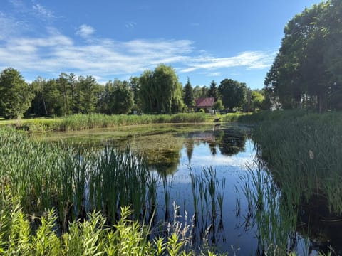 Day, Lake view