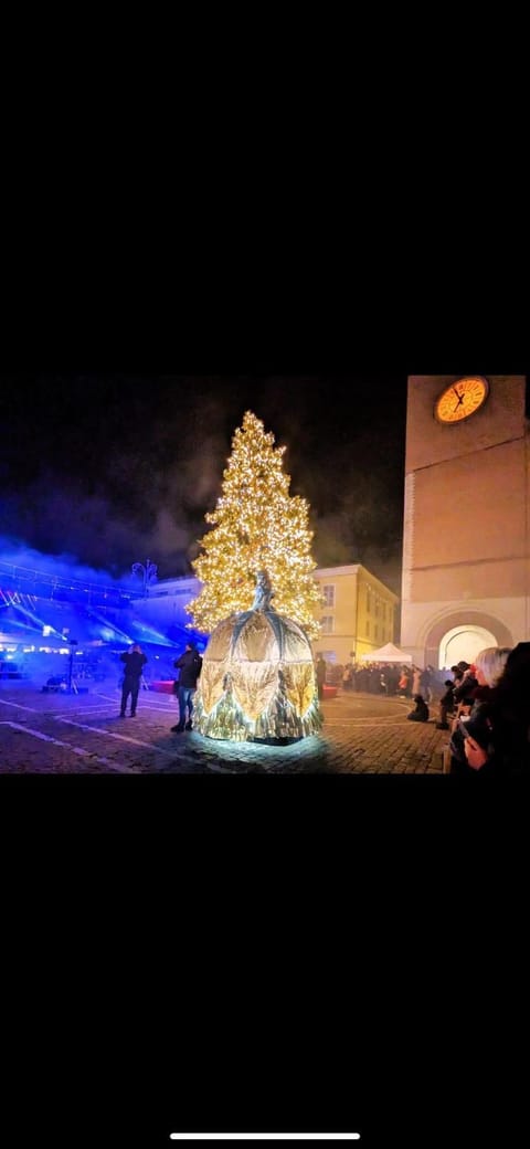 XX Settembre 43 n2 Bed and Breakfast in Fano