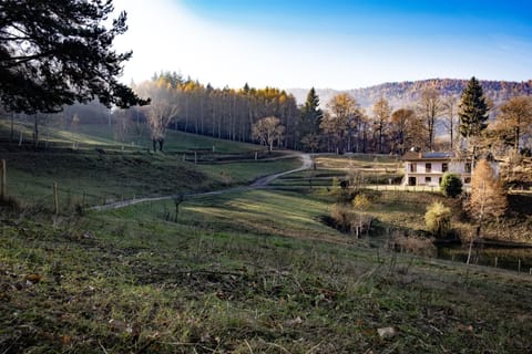 Garden, Garden, View (from property/room), Mountain view, Quiet street view