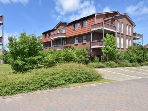 Property building, Summer