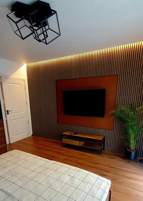 Central One Guesthouse Apartment in Timiș County