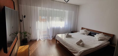 Central One Guesthouse Apartment in Timiș County