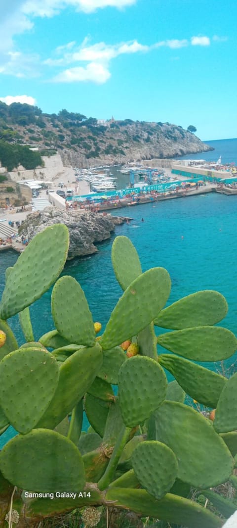 Nearby landmark, Natural landscape, Sea view