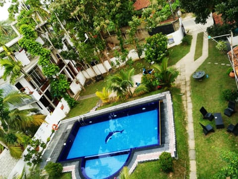 Swimming pool, Swimming pool