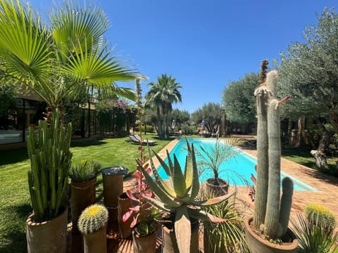 Natural landscape, Garden, Garden view, Pool view, Swimming pool