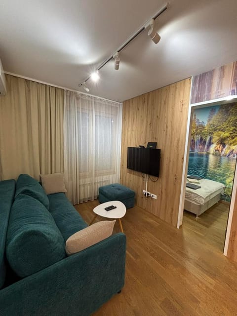 Exing Prime 65 New Belgrade Apartment in Belgrade