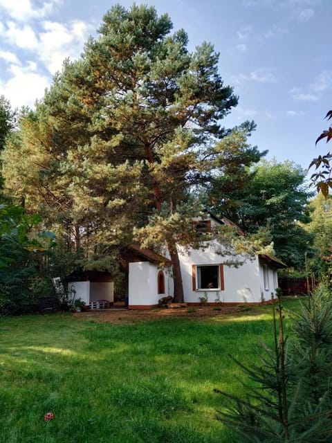 Dom letniskowy w Borach Tucholskich House in Pomeranian Voivodeship