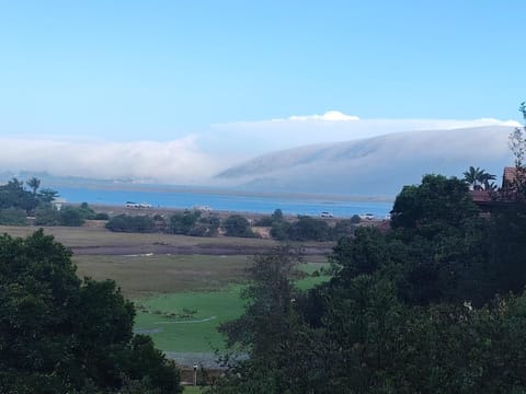 Phoenix 34South House in Knysna