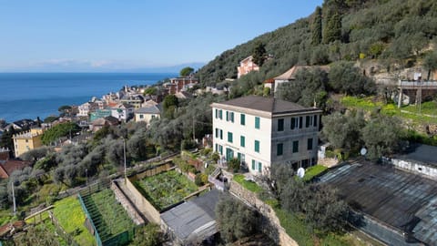 Gli Ulivi Apartment in Bogliasco