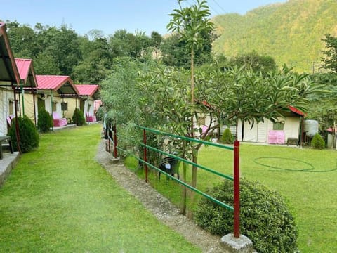 Natural landscape