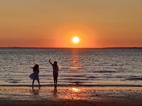 Beach, Sea view, Sunset