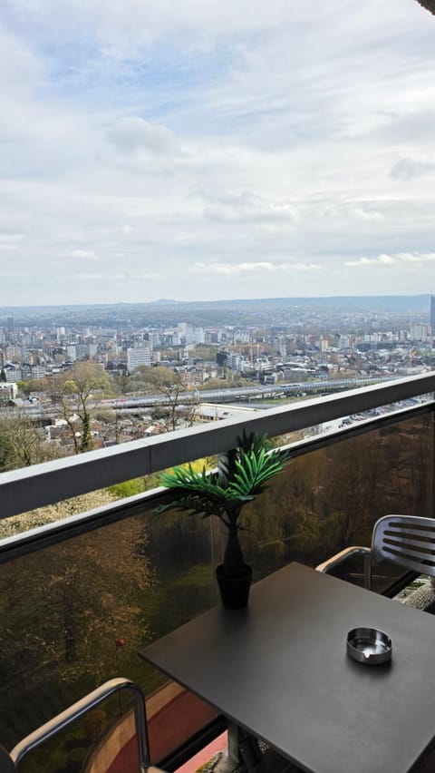 City view, City view, Garden view, Garden view