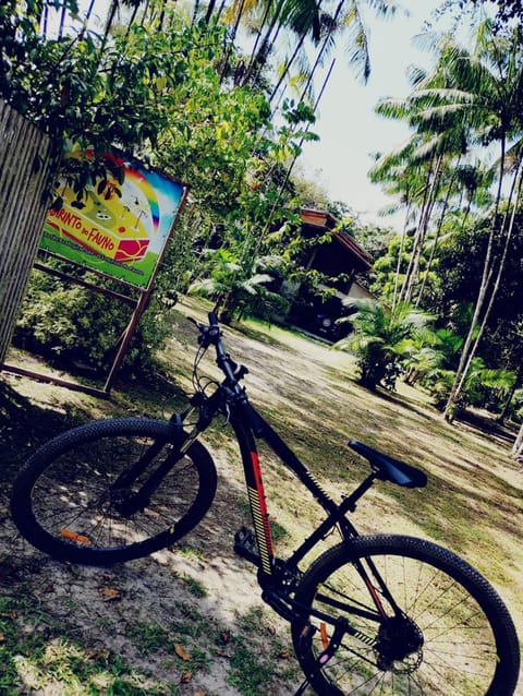 Day, Natural landscape
