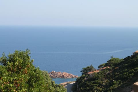 Sea view