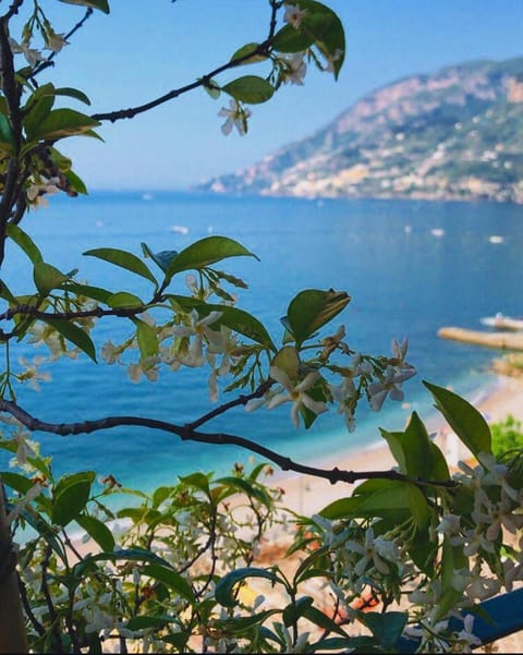 Natural landscape, Sea view