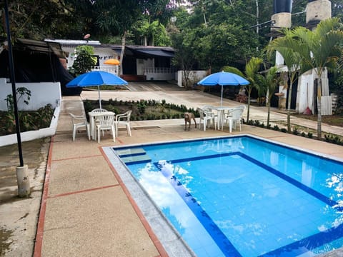 Property building, Garden, Garden view, Pool view, Swimming pool
