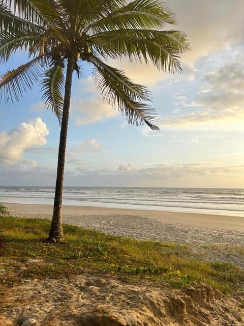 Natural landscape, Beach