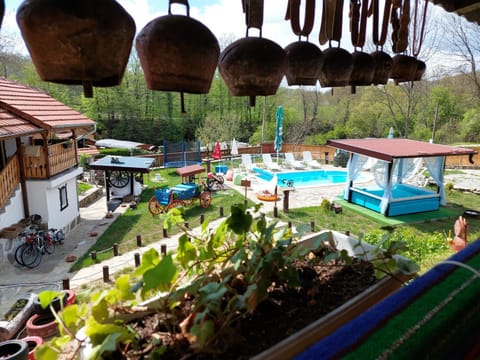 Garden, Garden, Garden view