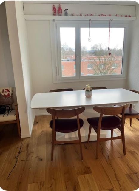 Green Basel Home Apartment in Basel