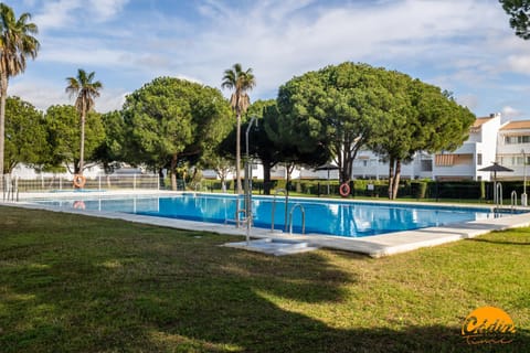 Garden, Pool view, Swimming pool