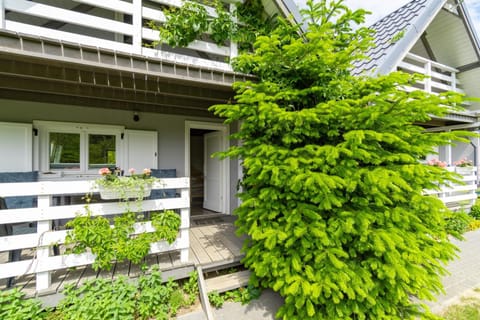 Property building, Day, Garden, Garden view