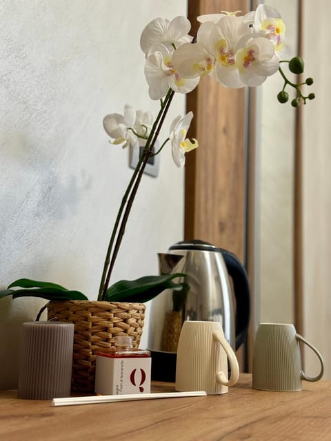 APARTAMENT - Torino Home Living Apartment in Turin