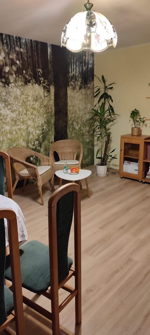 Living room, Area and facilities