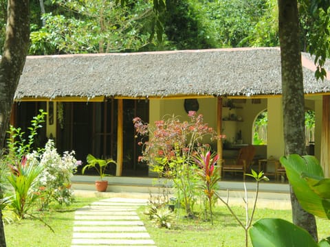 Natural landscape, Garden, Garden view