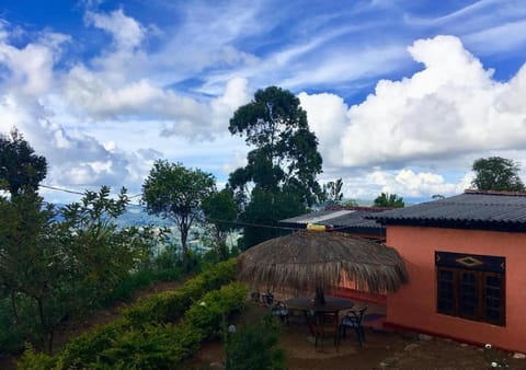 Garden, Garden view