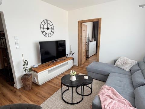Communal lounge/ TV room, TV and multimedia, Living room, Seating area, heating, internet, safe, air conditioner