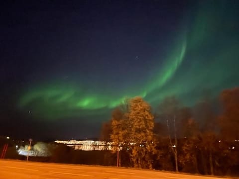 Quiet and peaceful apartment, close to everything Apartment in Tromso