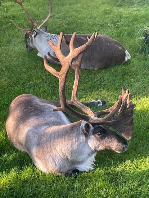 Quiet and peaceful apartment, close to everything Apartment in Tromso