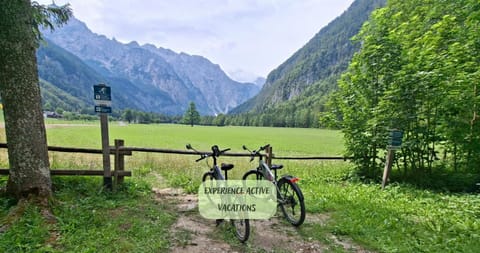 Nearby landmark, Activities, Cycling