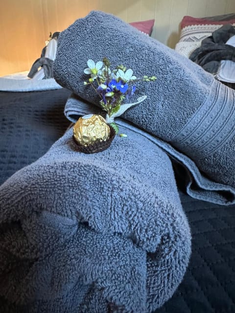 Lofoten Retreat Apartment Apartment in Lofoten