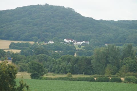 2 Buckatree Cottage House in Telford