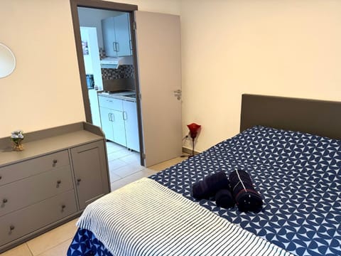 Appartement cosy à Bruxelles métro Vandervelde Apartment in Flanders